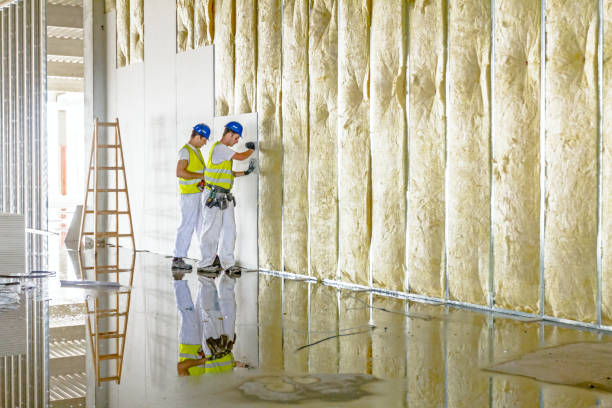 Best Energy Efficiency Solutions in Louisvle, IL
